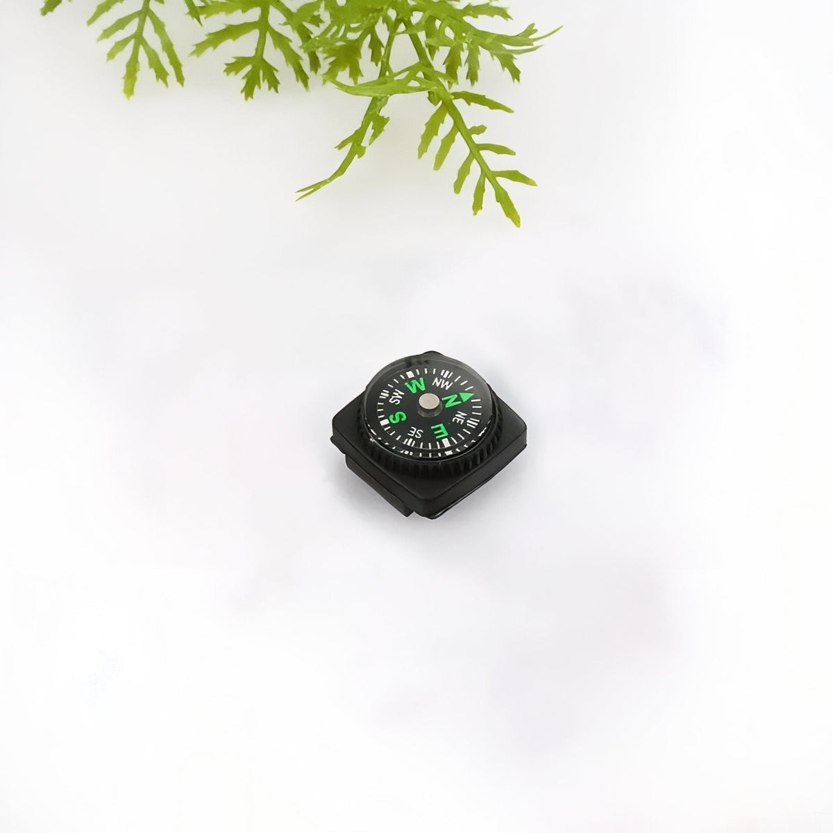 Boussole Pour Montre — photo 7
