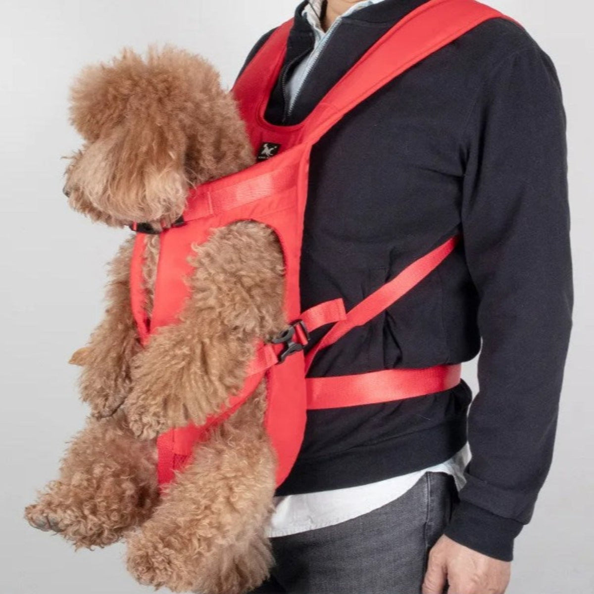 Porte Chien Ventral Randonnée — photo 10