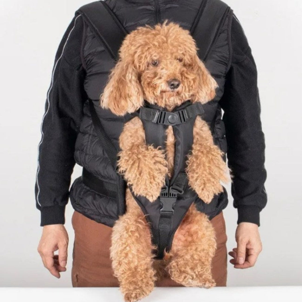 Porte Chien Ventral Randonnée — photo 3