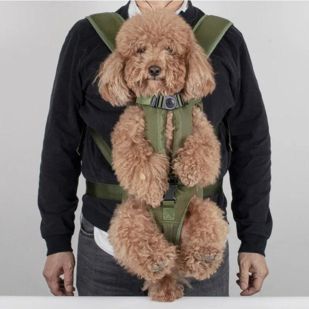 Porte Chien Ventral Randonnée — photo 8