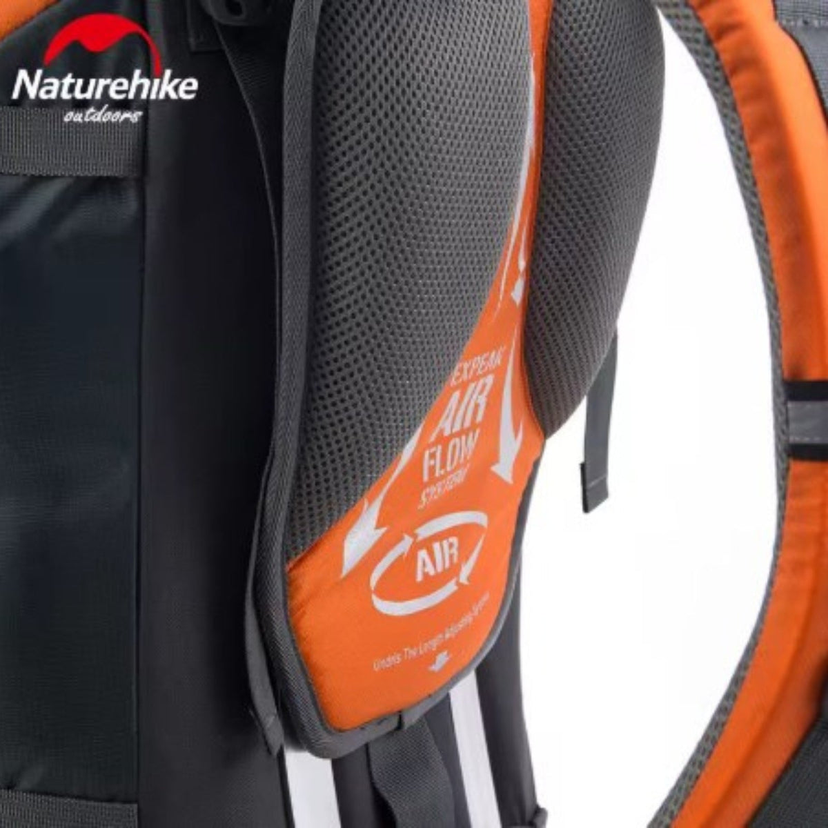 Sac à Dos Randonnée Pro Homme 75L — photo 7